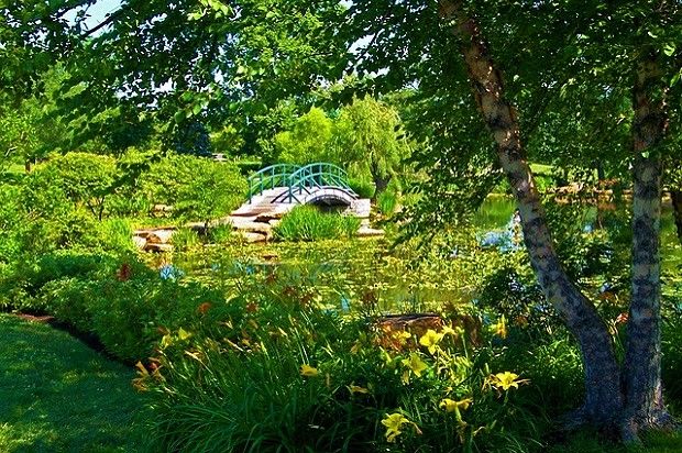 Claude Monet’s Giverny garden