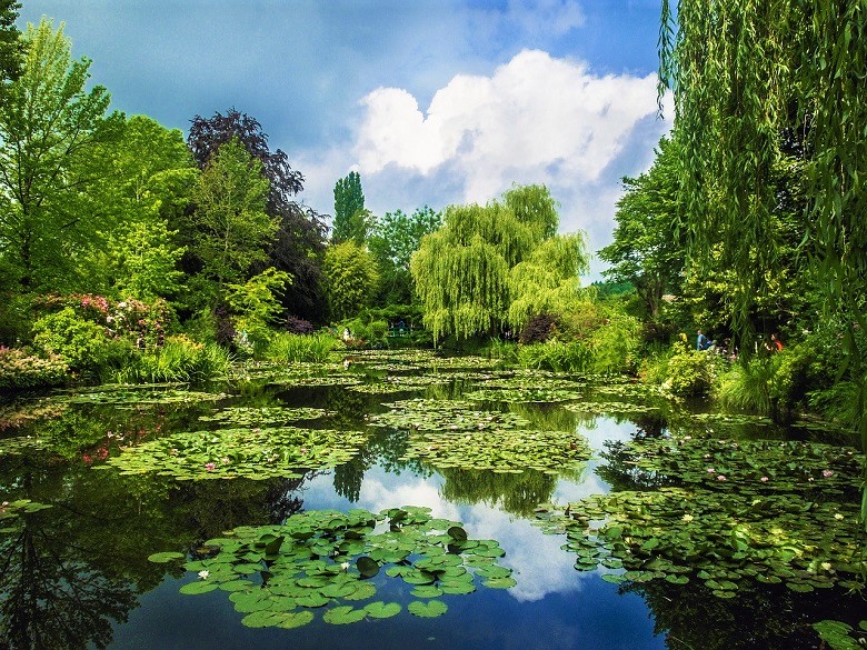 Water lilly pond in Monet's Giverny garden